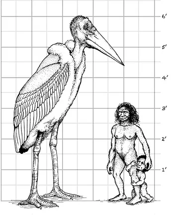 Fig 1: The Size of an Auspicious Cosmic Heron